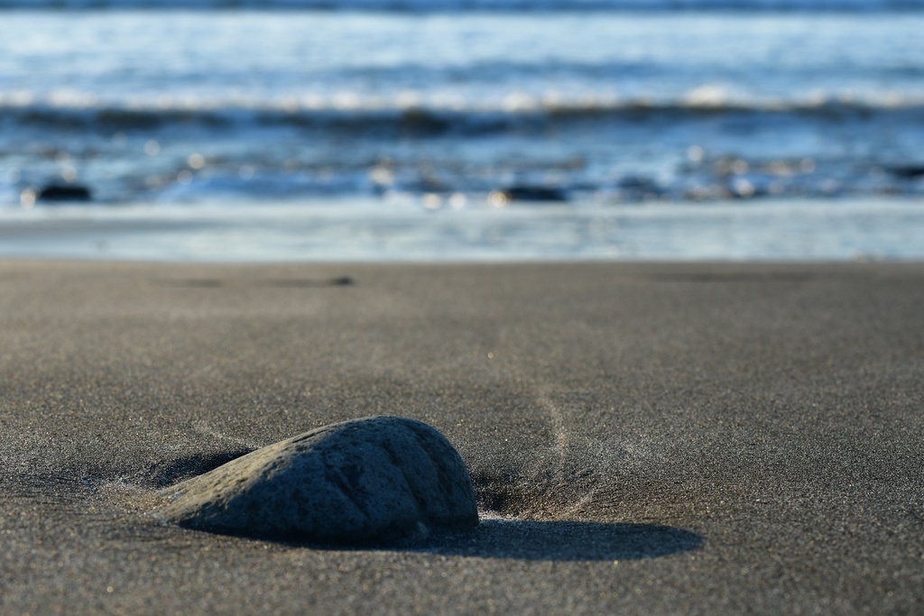 2018-11 Scotland/Talisker/DSC_7396.JPG